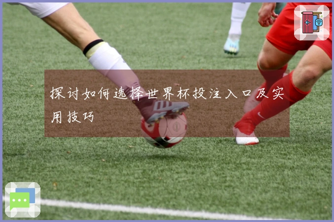 探讨如何选择世界杯投注入口及实用技巧