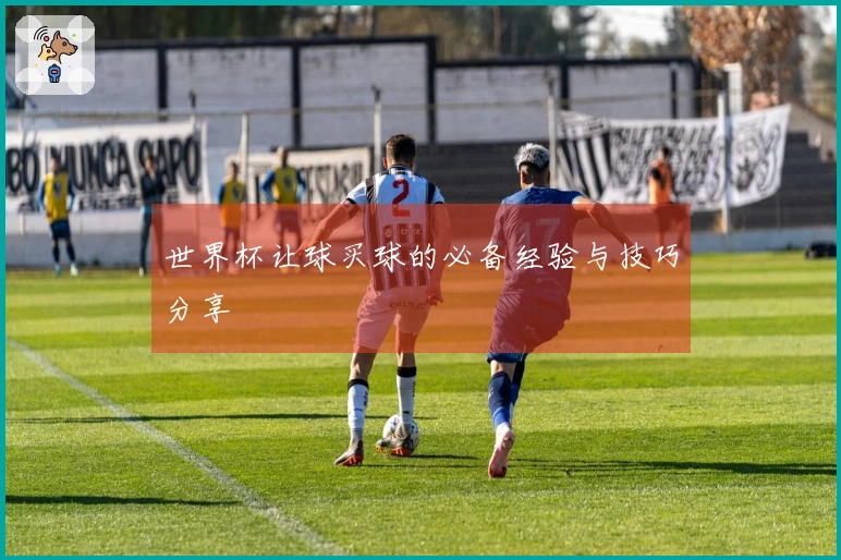 世界杯让球买球的必备经验与技巧分享