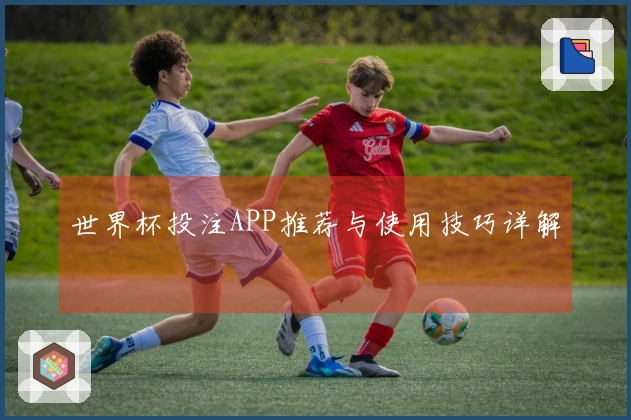 世界杯投注APP推荐与使用技巧详解