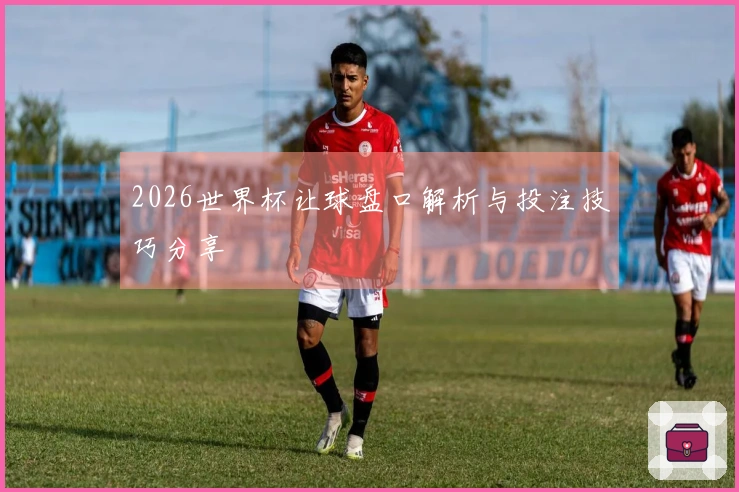 2026世界杯让球盘口解析与投注技巧分享