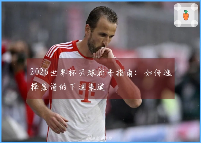 2026世界杯买球新手指南：如何选择靠谱的下注渠道