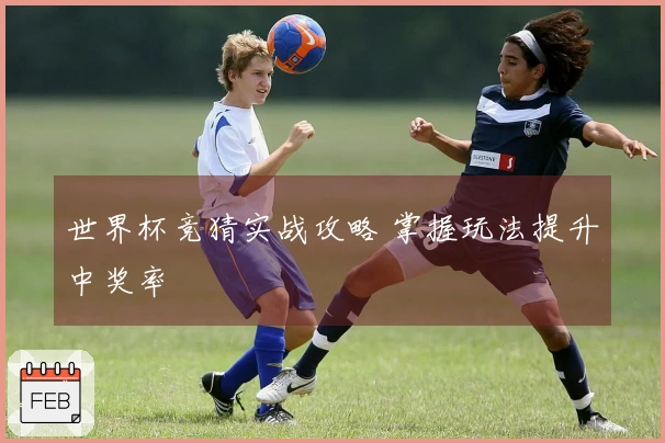 世界杯竞猜实战攻略 掌握玩法提升中奖率