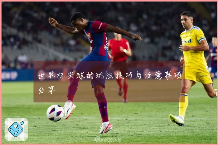 世界杯买球的玩法技巧与注意事项分享