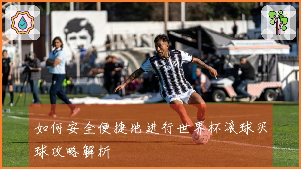 如何安全便捷地进行世界杯滚球买球攻略解析