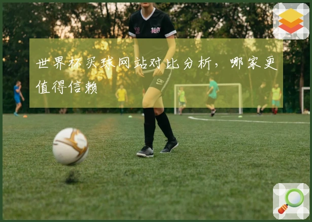 世界杯买球网站对比分析，哪家更值得信赖