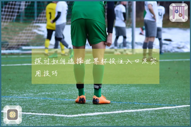 探讨如何选择世界杯投注入口及实用技巧