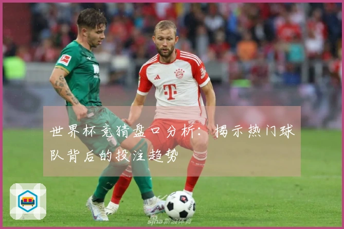 世界杯竞猜盘口分析：揭示热门球队背后的投注趋势